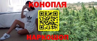 соль ск Аргун