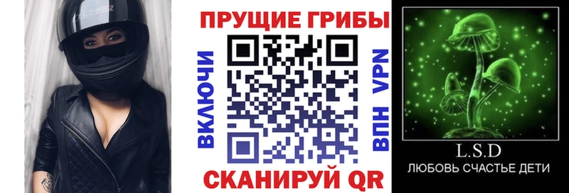 Галлюциногенные грибы Magic Shrooms  shop клад  Баксан  ссылка на мегу ссылки 