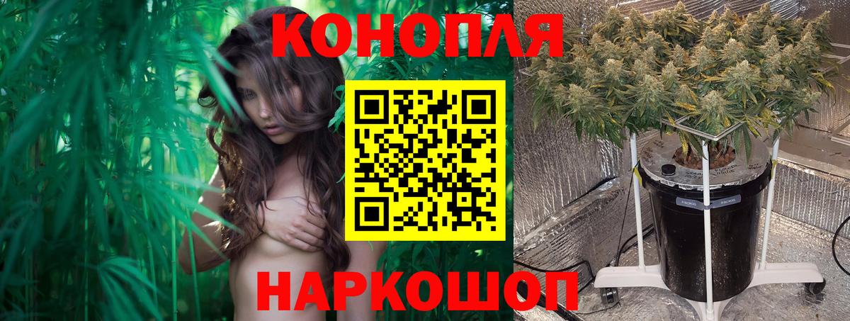 Баксан  Марихуана гибрид  Шишки марихуана гибрид  Вход с VPN  Бошки Шишки Amnesia 